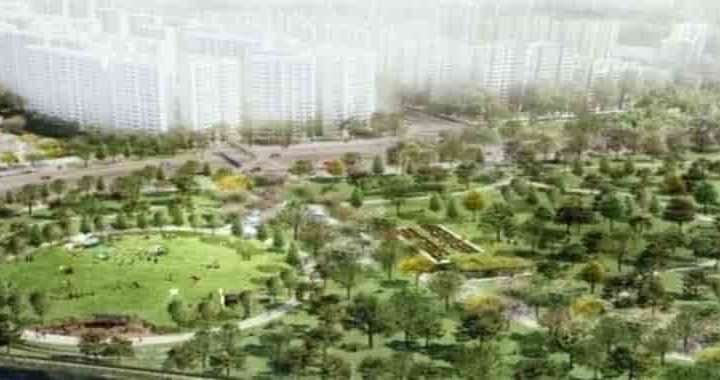 Tampines Nature Parks An Appeal to Property Buyers.