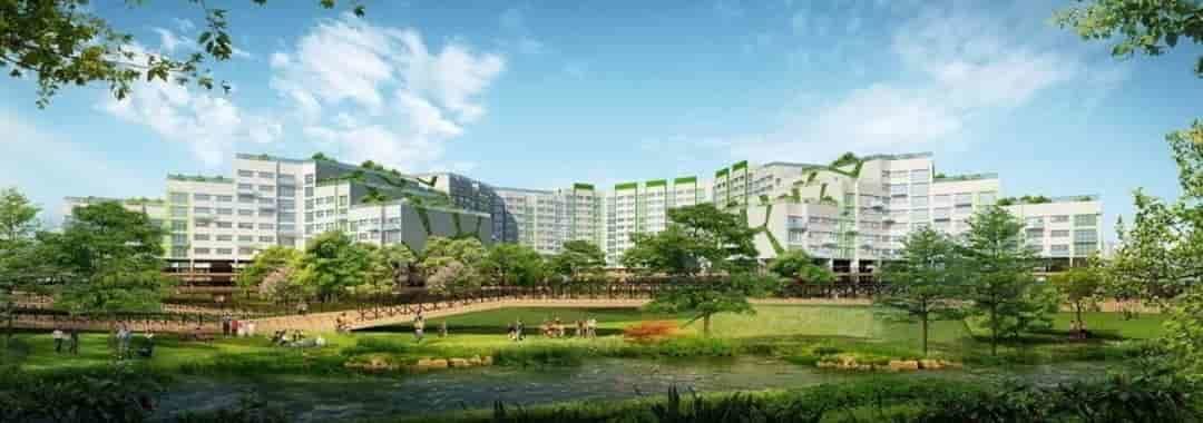 Property-Investment-Development-of-Tampines-North