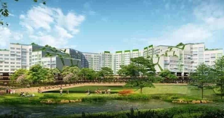 Property Investment - Development of Tampines North.