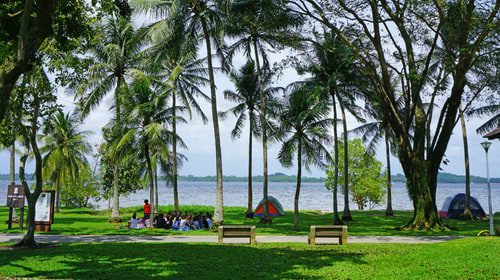 Pasir Ris Park And Beach, a 10-minute walk from Pasir Ris 8