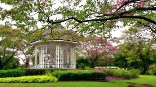 Singapore Botanic Gardens - Nature Park Near Watten House