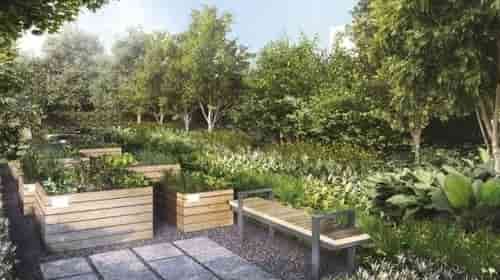 Parc Greenwich Executive Condo - Herbs Garden & Community Farm