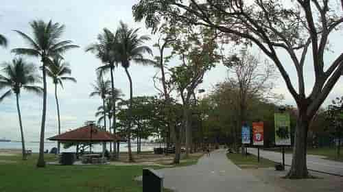 East Coast Park, a short drive from The Continuum