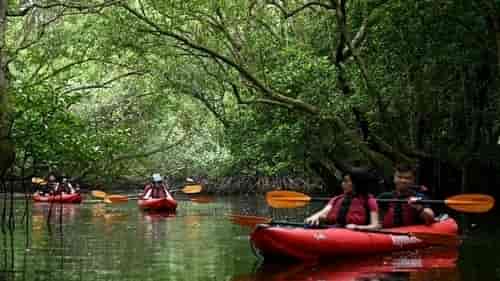 Interesting Recreation Activities Near Lentor Hills Residences - Kayaking at Khatib Bongsu Nature Park