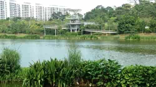 North Gaia Executive Condo is near Yishun Pond Park