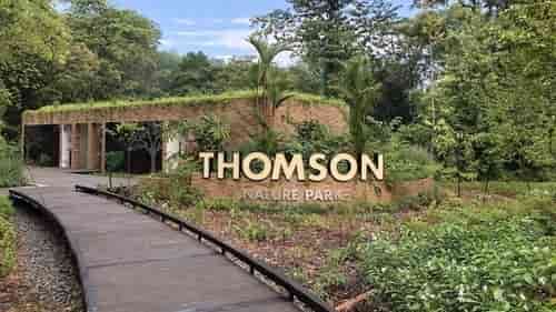 Thomson Nature Park is near Lentor Modern