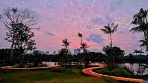 Rasau Walk at Jurong Lake Gardens is located in front of Sora Condo