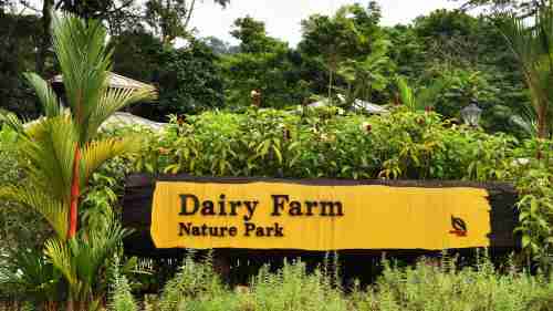 Dairy Farm Nature Park is located near The Reserve Residences.