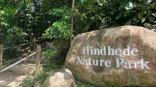Hindhede Nature Park is near The Myst Condo.