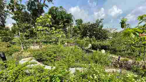 LakeGarden Residences Review: Butterfly Maze at Jurong Lake Gardens.