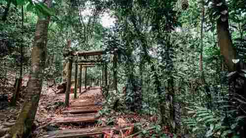 Altura EC Review: Bukit Batok Hillside Park.