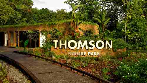 Thomson Nature Park is near Lentoria