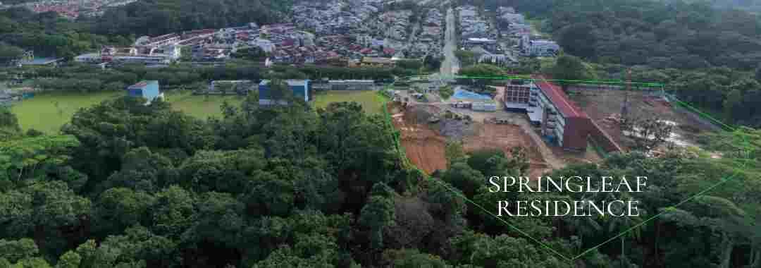 Springleaf Residence Condo Review