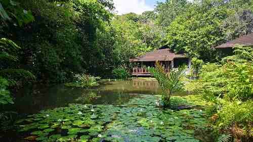 Sungei Buloh Wetland Reserve