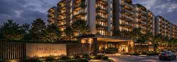 Amberwood at Holland Condo Review