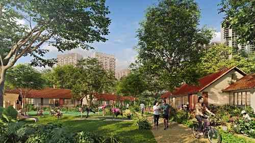 Turf City Transformation
