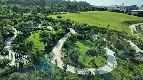 Woodlands Healing Garden Woodlands Healing Garden